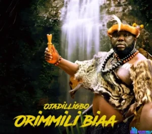 image of Ojadiligbo – Orimmili Bia