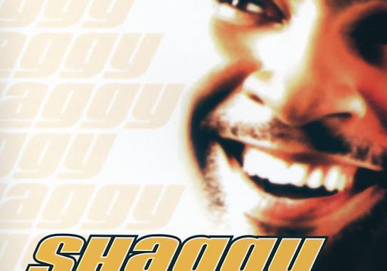 image of Shaggy – It Wasn’t Me ft. Ricardo Ducent