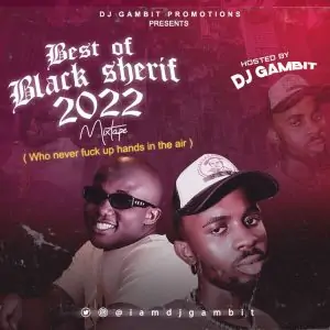 image of Best Of Black Sherif Songs Mix (Black Sherif Latest Songs)