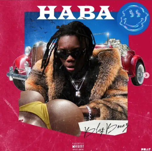 image of Blaqbonez – Haba song