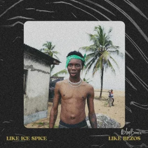 image of Blaqbonez – Like Ice Spice