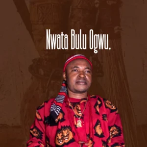 image of Chief Michael Udegbi – Nwata Bulu Ogwu