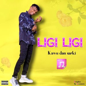 image of Kawu Dan Sarki – Ligi Ligi