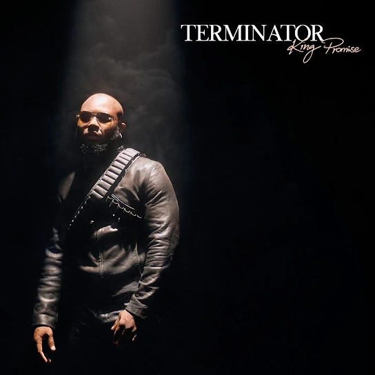 image of King Promise – Terminator