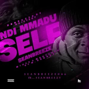 image of Seanbreeze – Ndi Mmadu Sef